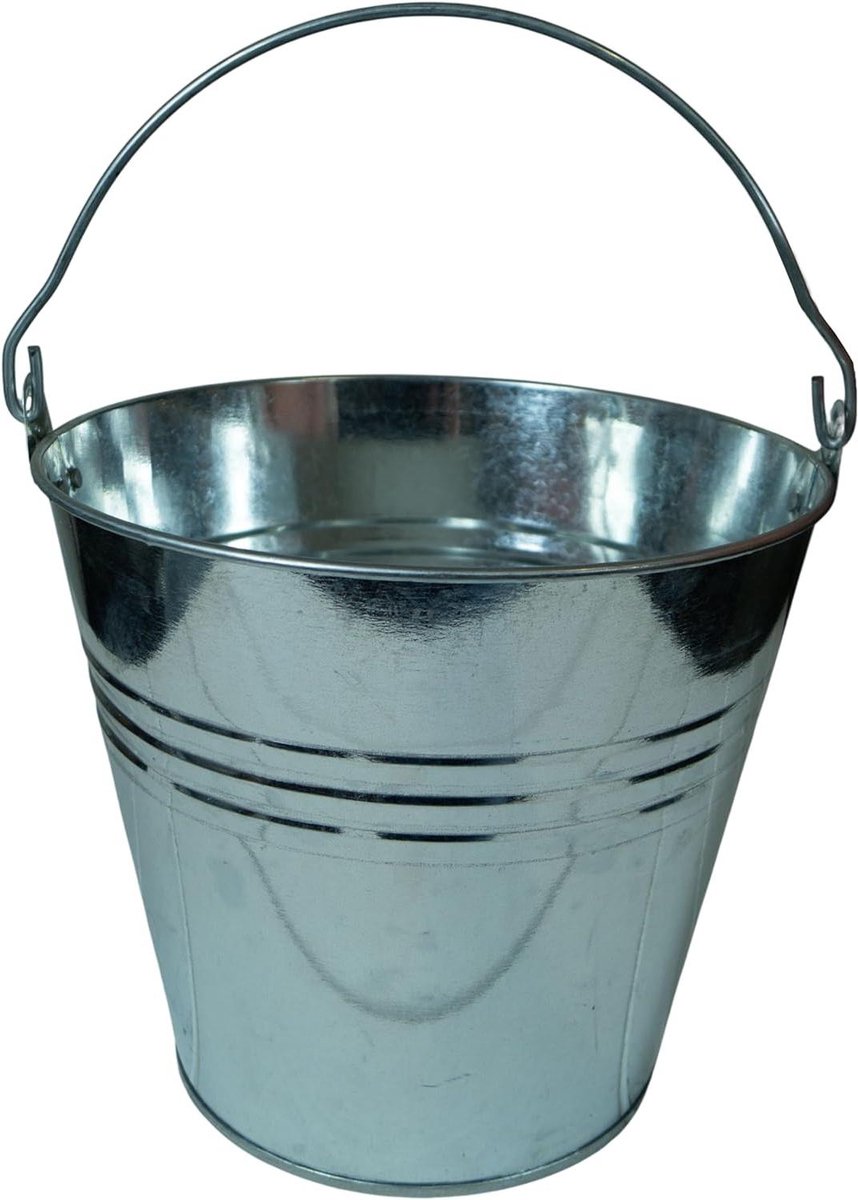 Zinken emmer - Tuinhulp decoratie - Tuinieren en opbergen - Robuust verzinkt staal - 10 Liter - Zilver