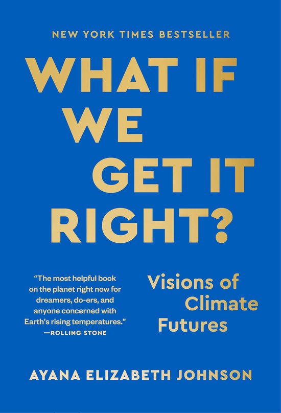 What If We Get It Right? - cover