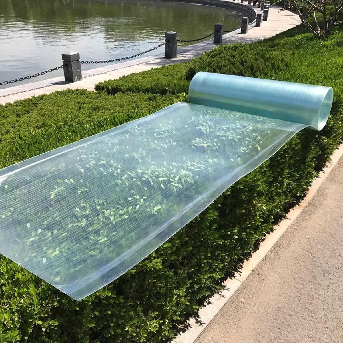 Polycarbonaat Dakplaat - Glasvezel Paneel - Bescherming Buiten - Weerbestendig UV Bestendig - 0.8x10m - Transparant