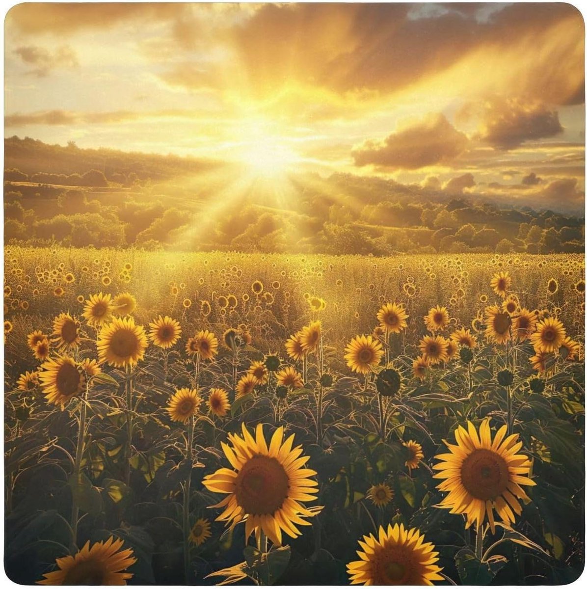 Camera Lens Wrap - Beschermhoes - Veilige Opslag - Zelfklevende Sluiting - 55 cm - Zonnebloemen