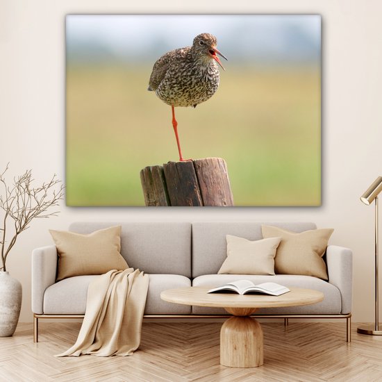 Redshank debout sur une jambe Toile 160x120 cm - Tirage photo sur toile (Décoration murale salon / chambre) XXL / Groot format!