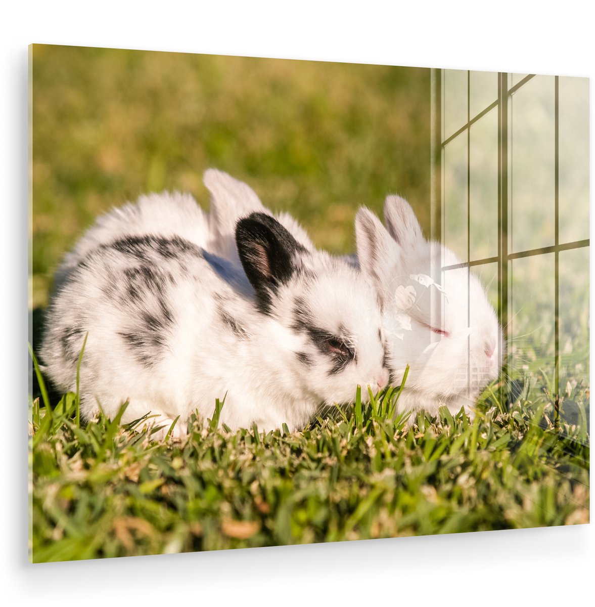 ® Glasschilderij 120x90 cm - Schilderij acrylglas - Baby konijn - Huisdier - Gras - Foto op glas - Muurdecoratie woonkamer - Wanddecoratie slaapkamer - Schilderijen