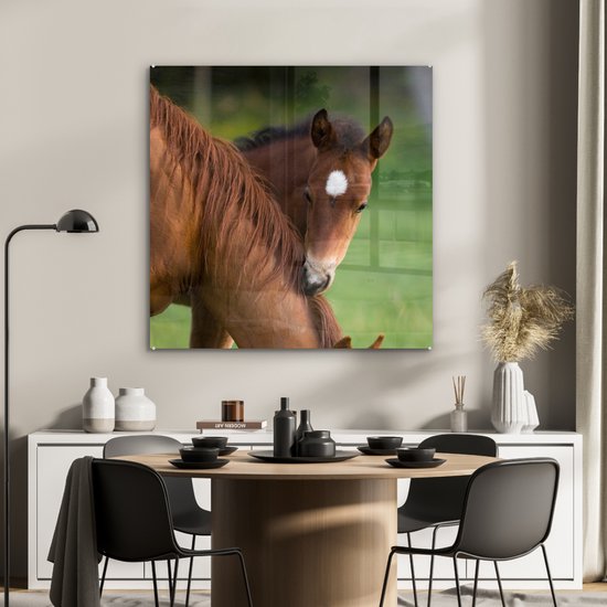 ® Glasschilderij 90x90 cm - Schilderij acrylglas - Paarden - Gras - Portret - Foto op glas - Muurdecoratie woonkamer - Wanddecoratie slaapkamer - Schilderijen