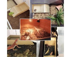 Waterbekken voor schildpadden met klimhelling en reptielenbad accessoires