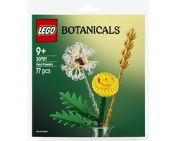 LEGO 30701 Field Flowers