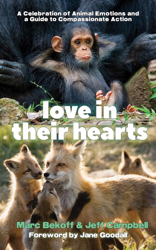 Boek met een jonge chimpansee en een vos met twee welpen. Titel: "love in their hearts".