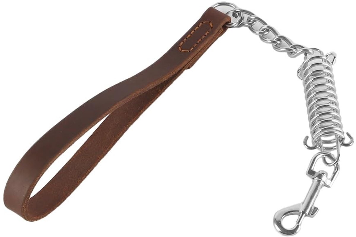 aladdien - Hondenlijn - Korte Hondenlijn voor Veilig Wandelen - 55 cm - Robuust Handvat - Training en Comfort - Geschikt voor Honden - Veiligheid