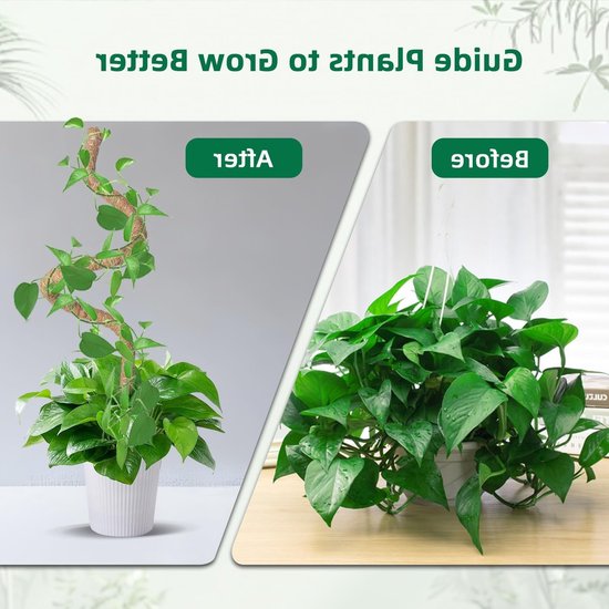 Vouwbare kokosvezel plantsteun voor klimop, monstera en andere kamerplanten - 120 cm hoog — afbeelding 2