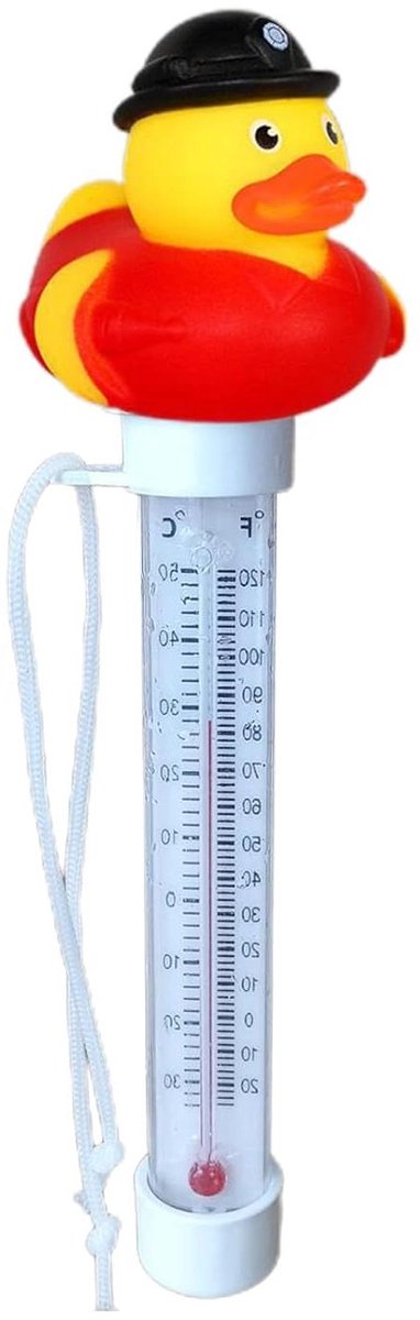 Drijvende thermometer - Water thermometer - Water temperatuur meten - Schattig eend ontwerp - 20 cm - Veelkleurig