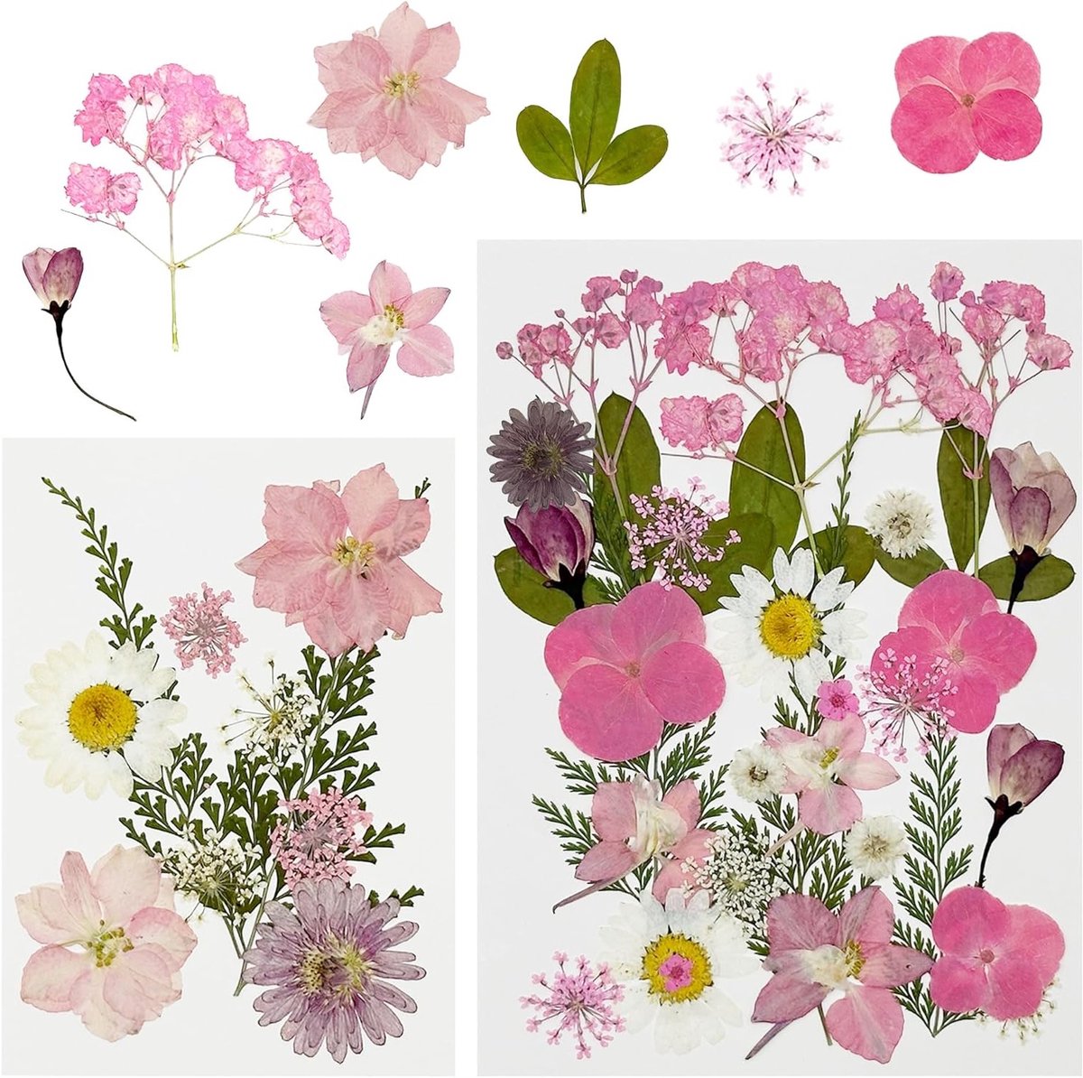 40 Stuks Natuurlijke Gedroogde Bloemen en Rozenblaadjes voor Resin, Scrapbooking en Sieraden maken