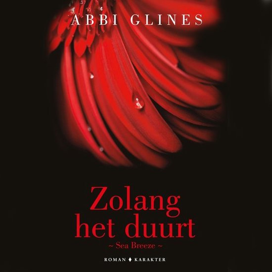 Zolang het duurt - cover