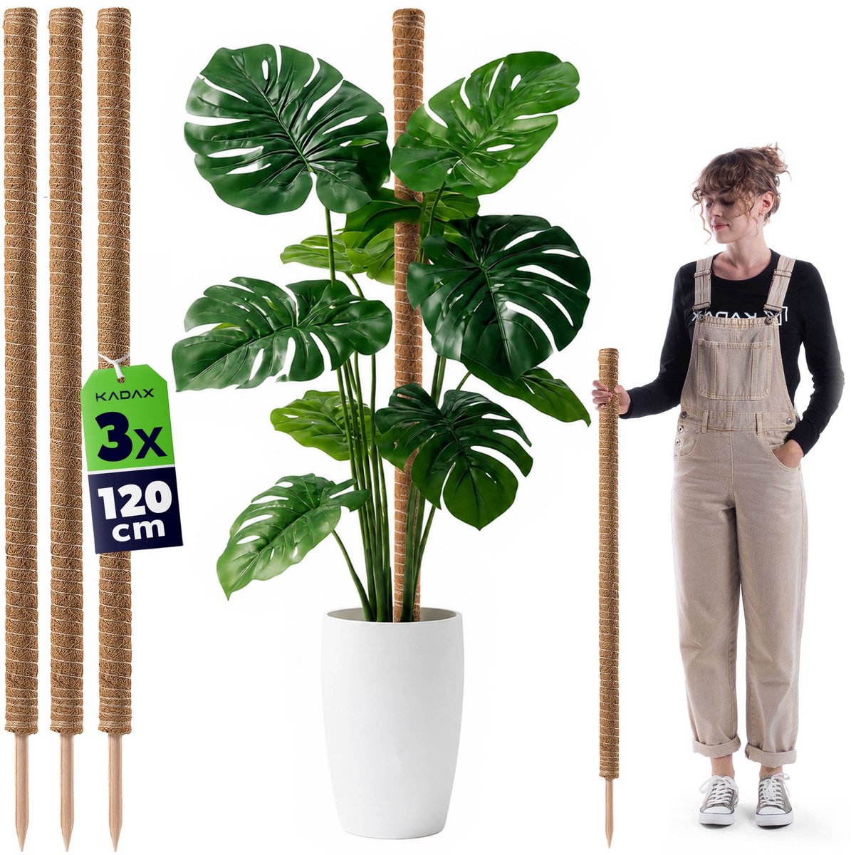 Cande kokosplantenstok 120 cm potsteun 3 st.