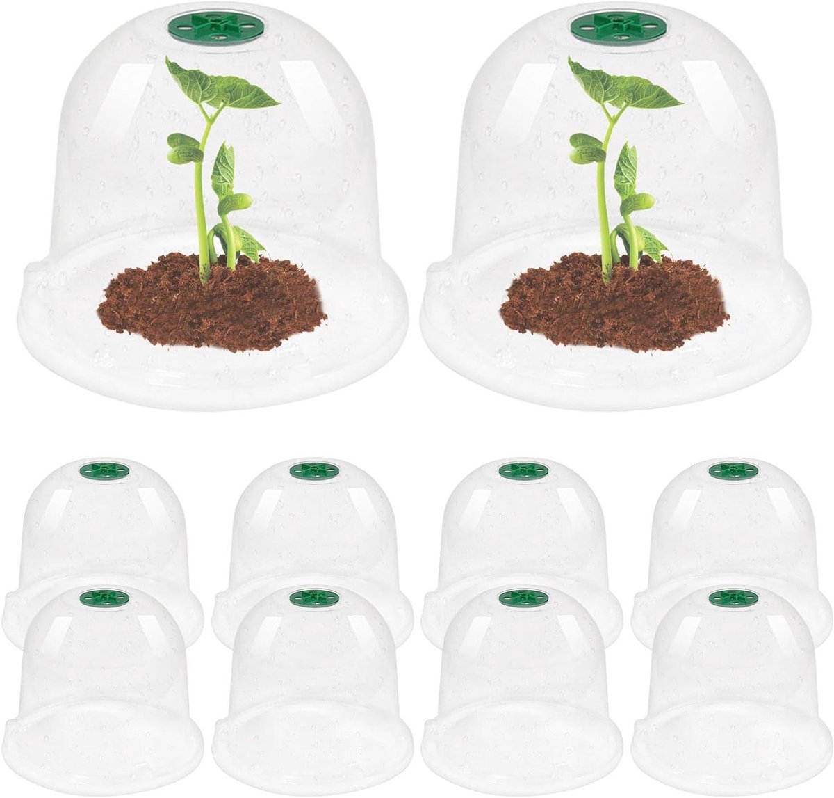 Plantenkoepels - Kweekkappen - Zaailingen Beschermen - Verstelbare Ventilatie - 10 Stuks - Transparant