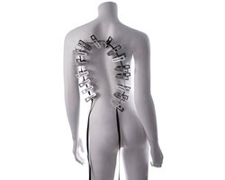 Sportsheets - Edge Body Zipper Clothes Pins - Zilver