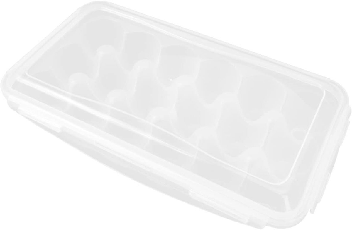 Kunststof Eierdozen - Eierbewaarbakjes Koelkast - Eieren Opbergen - Draagbaar Anti-botsing - 32x18cm - Wit