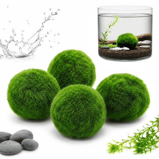 Vier groene marimo mosballen, grijze stenen, water splash en mini aquarium.