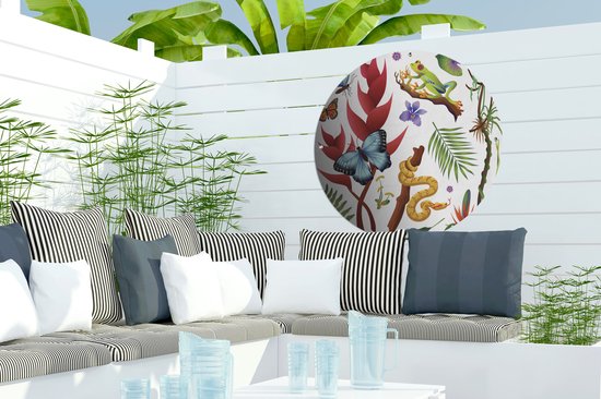 Tuincirkel Een illustratie van een roodoogmakikikker omringd door dieren - 60x60 cm - Ronde Tuinposter - Buiten