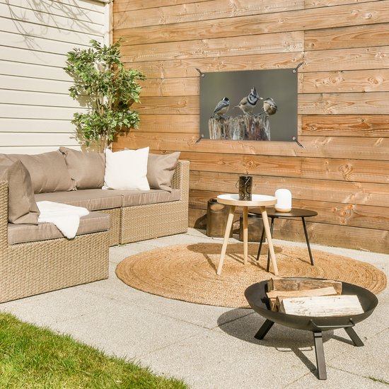 Tuinposter 60x40 cm - Tuindecoratie Drie zwarte meesjes op een houten boomstronk - Poster voor in de tuin - Buiten decoratie - Schutting tuinschilderij - Tuindoek muurdecoratie - Wanddecoratie balkondoek