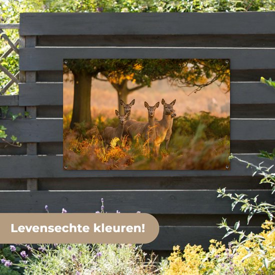 Tuinposter 120x80 cm - Tuindecoratie Herfst - Zon - Herten - Poster voor in de tuin - Buiten decoratie - Schutting tuinschilderij - Tuindoek muurdecoratie - Wanddecoratie balkondoek