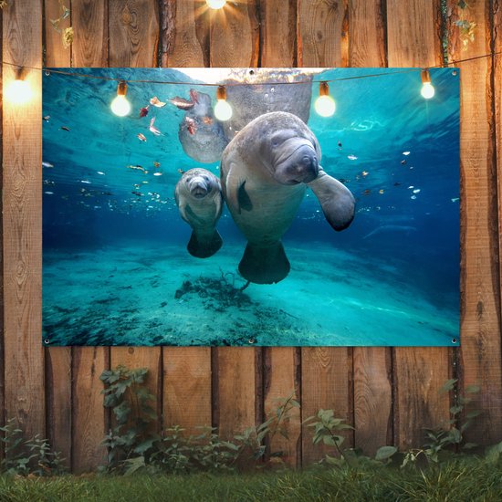 Décoration murale Lamantin antillais avec bébé - 180x120 cm - Poster jardin - Toile jardin - Poster extérieur