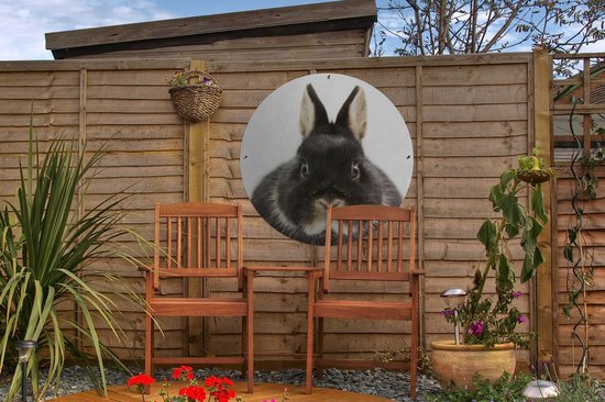 Garden Circle Lapin - Animaux domestiques - Fourrure - 60x60 cm - Affiche de Jardin Ronde - Extérieur