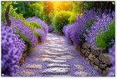 Affiche de jardin - Toile de jardin - Posters de jardin extérieur - Fleurs - Allée - lavande - Jardin - 120x80 cm - Jardin