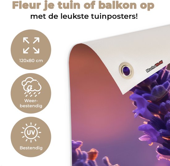 Uitleg van de maten en eigenschappen van een tuindoek met een vlinder op lavendel. 'Fleur je tuin of balkon op met de leukste tuinposters!' 'Weerbestendig' 'UV-bestendig'.