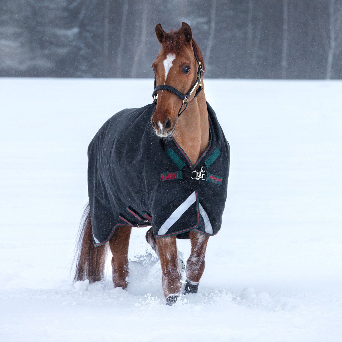 Rambo Wug Turnout Heavy 400g - Zwart/Groen & Rood - 145/195