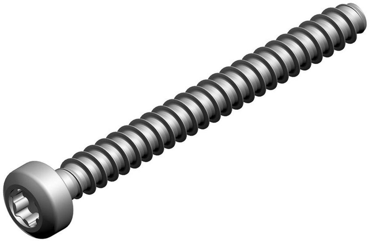 BOSCH Schroef M 35 x 35 (2x), 7736700683
