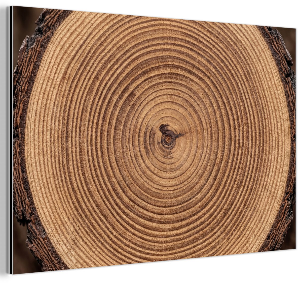 Aluminium schilderij 150x100 cm - Wanddecoratie metaal - Boomstam - Hout - Bruin - Metalen