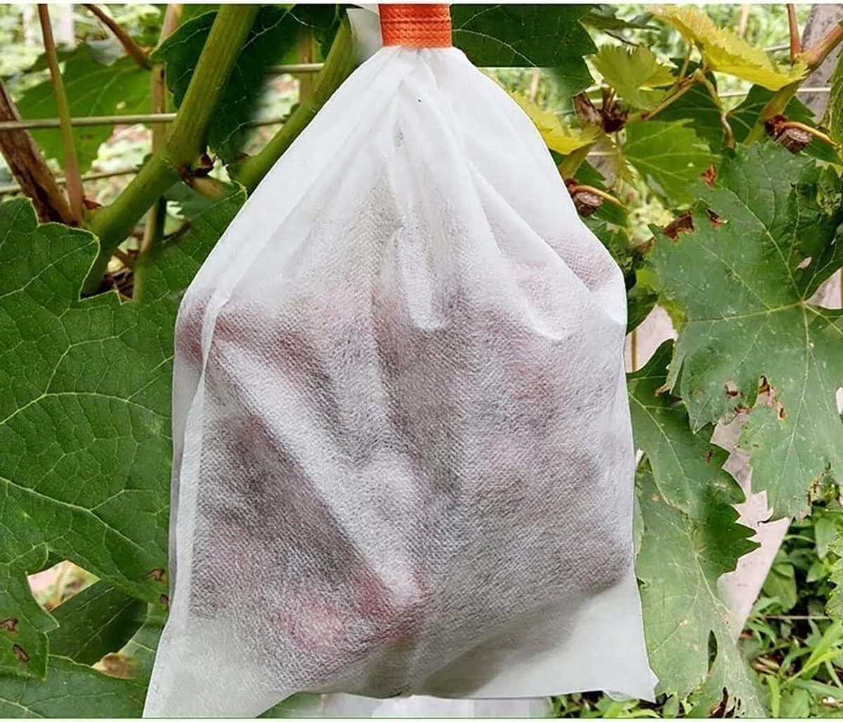 Fruitnetzakken - Beschermzakken - Planten beschermen - Met trekkoord - 100 stuks - Multicolor
