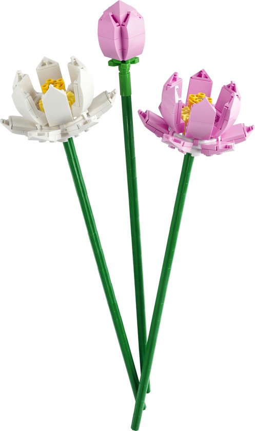 Lego 40647 Fleurs de Lotus