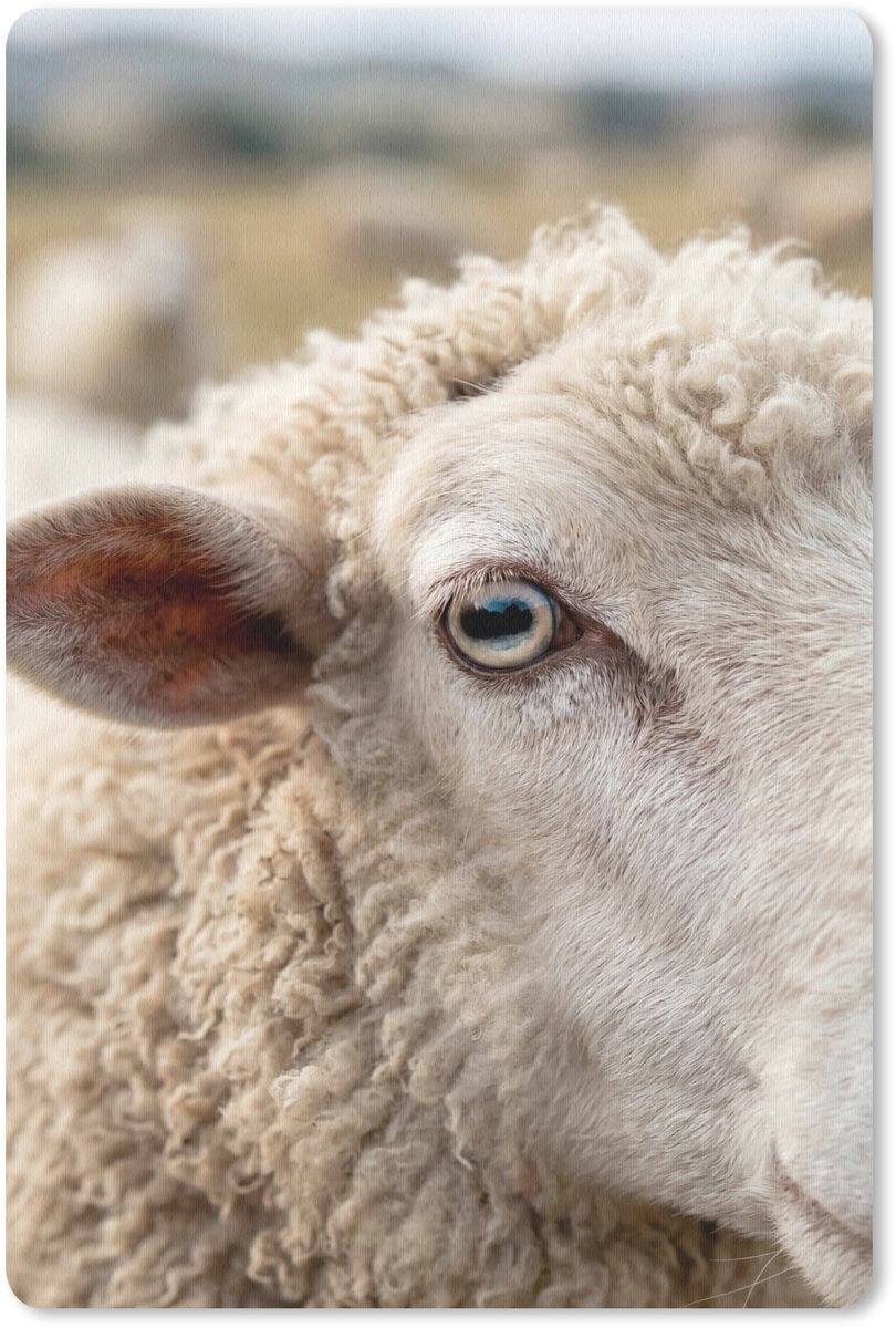Muismat 13x20 cm - Mousepad Schaap - Oog - Wit - Muismatten