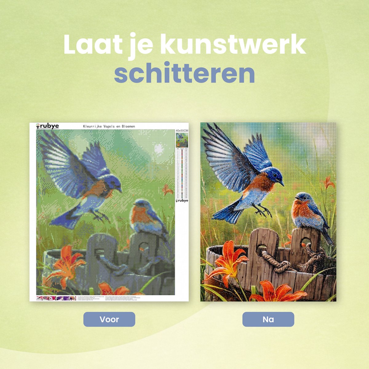 Rubye® Diamond Painting Volwassenen - Diamond Painting Kinderen - Diamond Painting Pakket Volledig - Vogels en Bloemen - 40x50cm — afbeelding 3