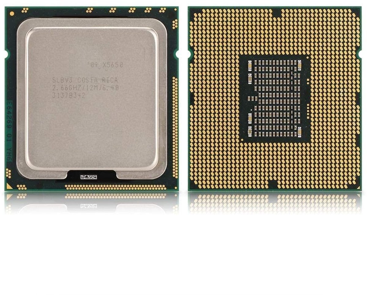 Dailygoods - Dailygoody - Xeon X5650 processor - 6 cores - krachtige prestaties - 12 MB cache - ideaal voor gaming en multitasking - 95W verbruik