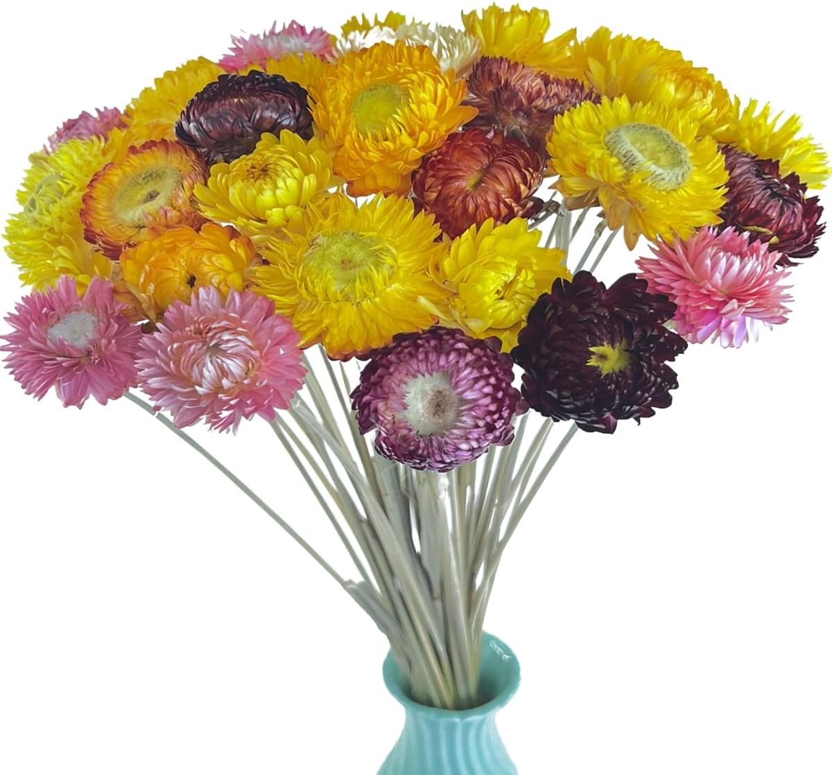 40 Stuks Natuurlijke Gedroogde Margrieten, Boeket met Steel voor Bruiloft, Thuis, Kantoor en DIY Bloemstukken