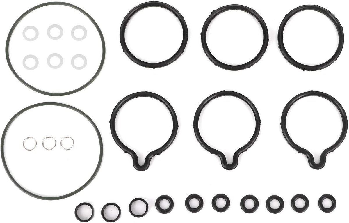 Hoge Druk O-Ring Reparatieset voor Brandstofpomp, Vervangingsonderdelen en Afdichtingen 0445010002