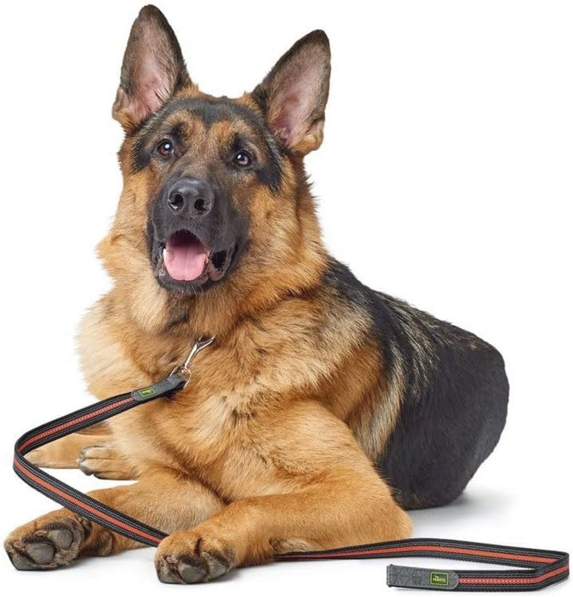 Gripvaste hondenriem voor drijvende en reflecterende honden, 20/120, oranje