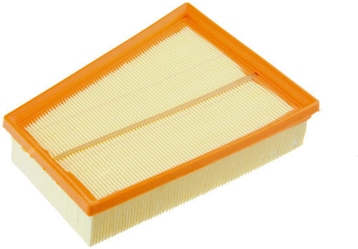 Luchtfilter OEM 165465647R