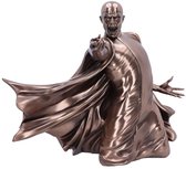 Harry Potter - Lord Voldemort - Duel - bronzen beeld (Nemesis Now)