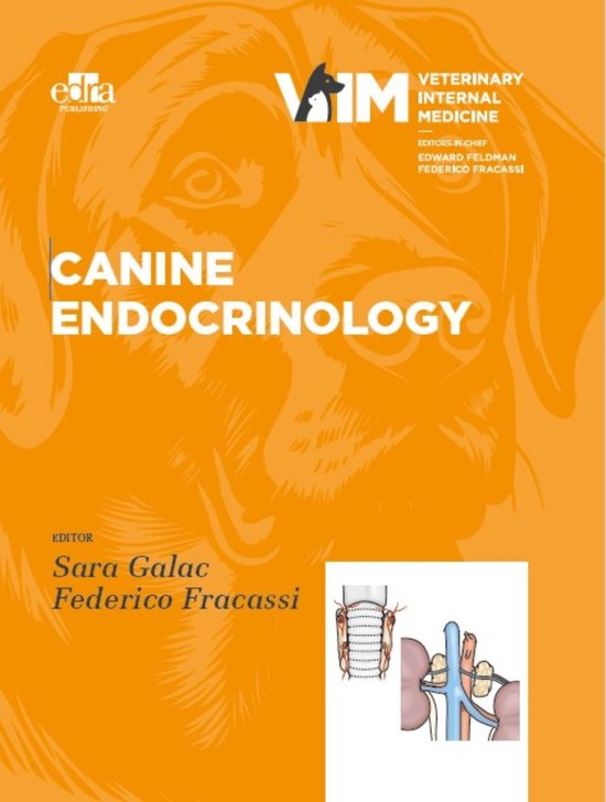 Canine Endocrinology - cover