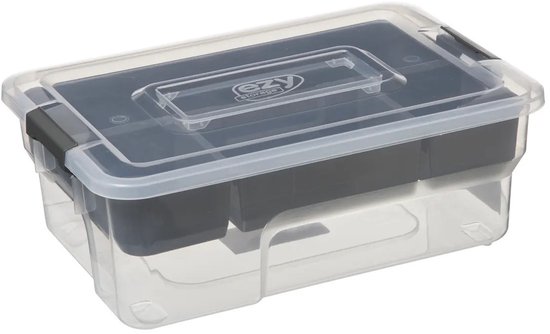 5Five Opslag sorteerbox - 5 vakjes indeling - 30 x 21 x 11 cm - kunststof - opbergdoos - 5000 ml