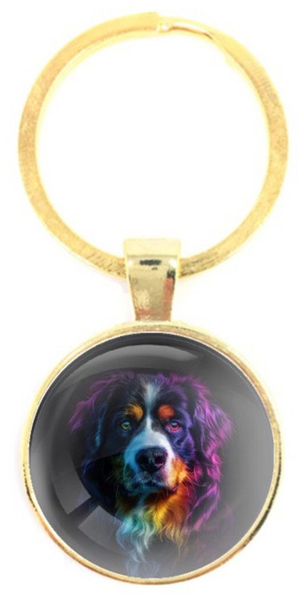 Sleutelhanger Glas | Close up | Regenboog | Berner Sennen