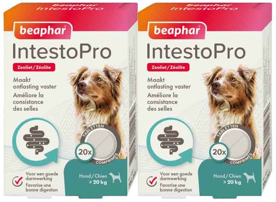 Beaphar IntestoPro Hond vanaf 20 kg - 2 x 20 tabletten - Voordeelverpakking