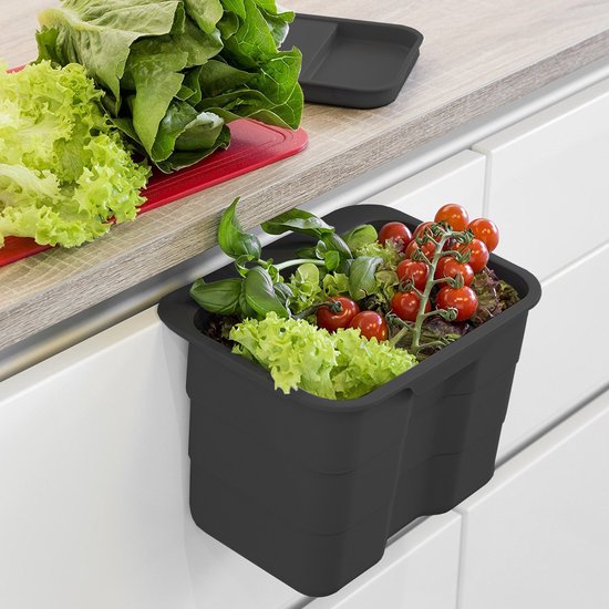 ESSENZA BIOBIN - Poubelle avec couvercle - 4,2 litres - ANTHRACITE - Plastique - FACILE À NETTOYER - pour le comptoir