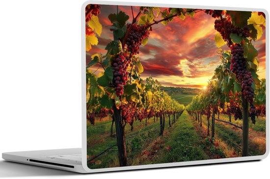 Laptop sticker - 13.3 inch - Wijngaard - Druiven - Zonsondergang - 31x22,5cm - Laptopstickers - Laptop skin - Cover