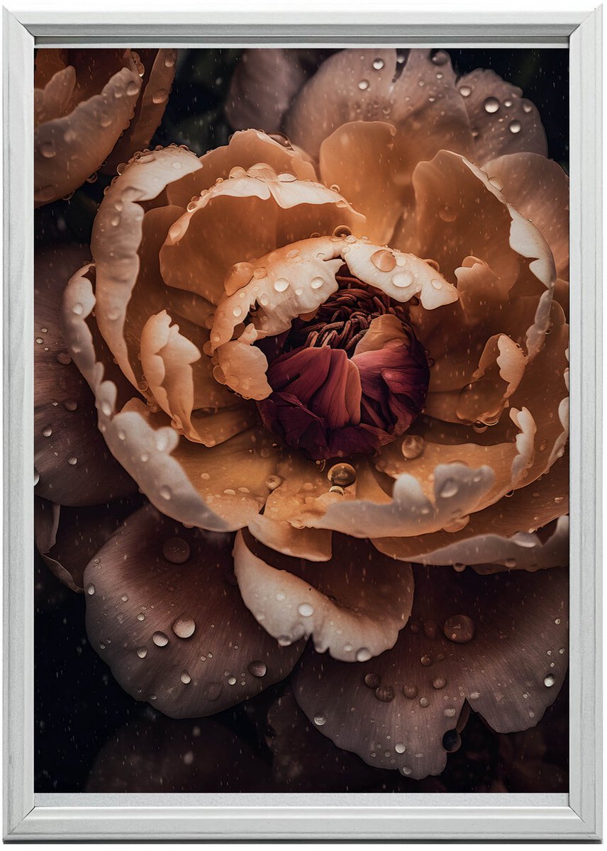 Frame Wandposter Oranje Pioen 30X40 Cm Houten Frame