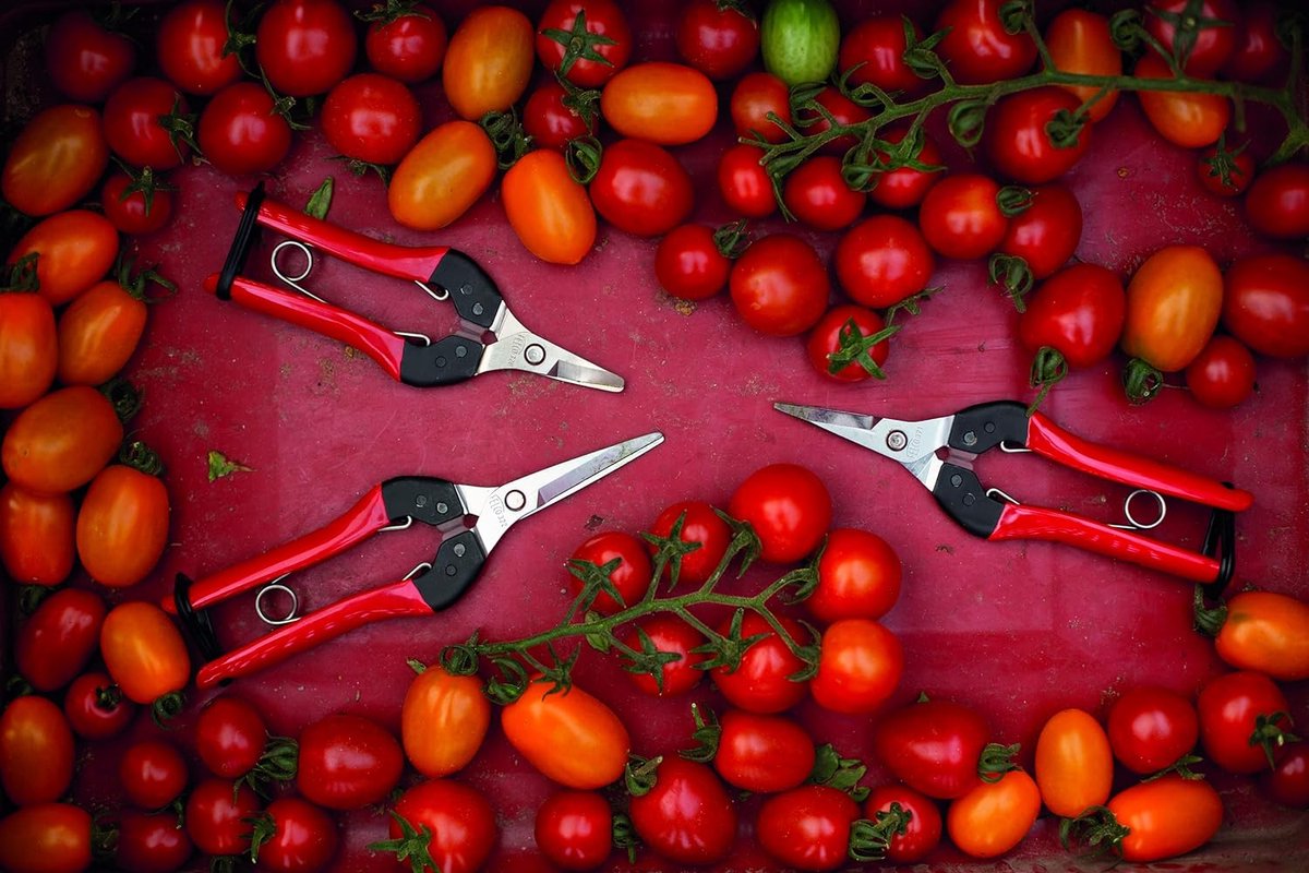 Felco 322 oogst- en bloemenschaar - Lengte 19 cm