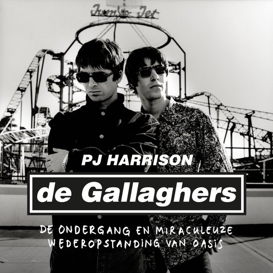 De Gallaghers - cover