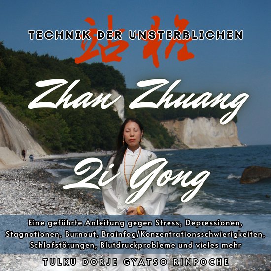 Zhan Zhuang Qi Gong - Technik der Unsterblichen - cover